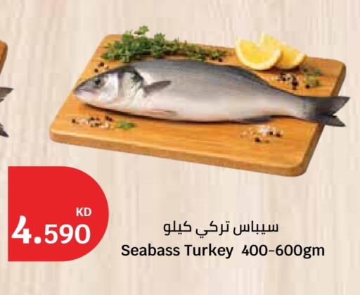 available at سيتي هايبرماركت in الكويت - محافظة الأحمدي