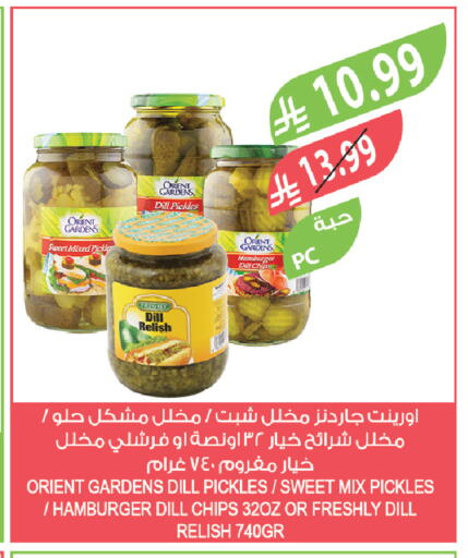 Dill available at Farm  in KSA, Saudi Arabia, Saudi - Al Bahah