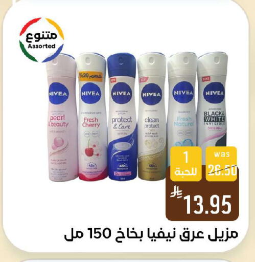 Cherry available at Shubra AlTaif in KSA, Saudi Arabia, Saudi - Ta'if