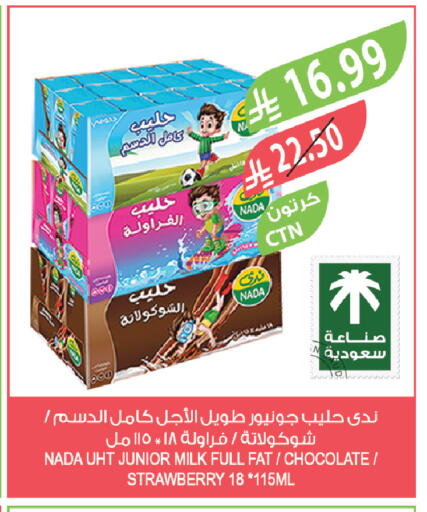 Strawberry available at Farm  in KSA, Saudi Arabia, Saudi - Arar