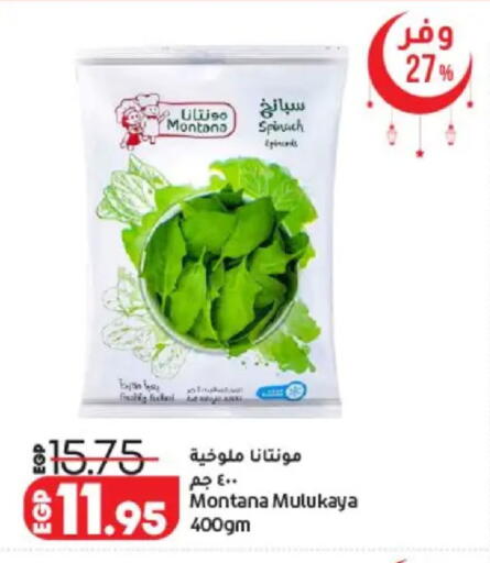 Spinach available at لولو هايبرماركت in Egypt - القاهرة