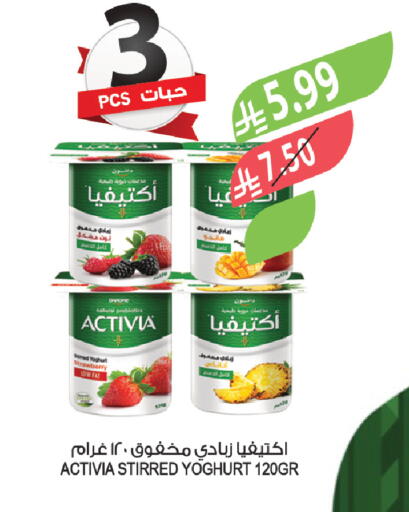 Strawberry available at Farm  in KSA, Saudi Arabia, Saudi - Saihat
