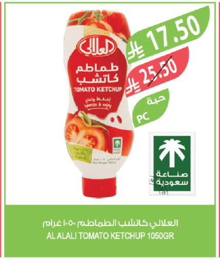 Tomato available at Farm  in KSA, Saudi Arabia, Saudi - Qatif