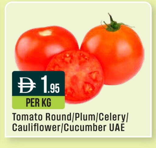 Plum Tomato Celery Cauliflower Cucumber available at West Zone Supermarket in UAE - Abu Dhabi