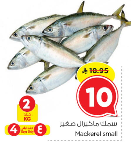 available at نستو in مملكة العربية السعودية, السعودية, سعودية - الرياض