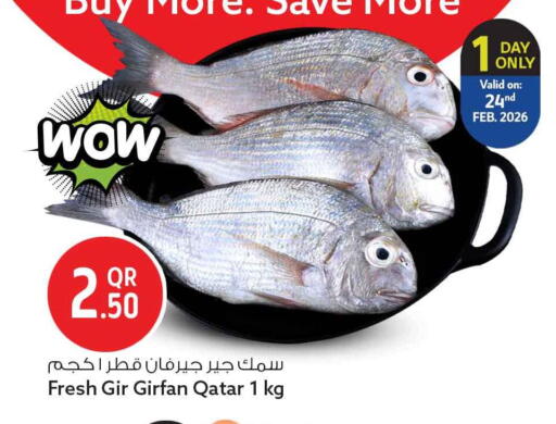 available at سفاري هايبر ماركت in قطر - الوكرة