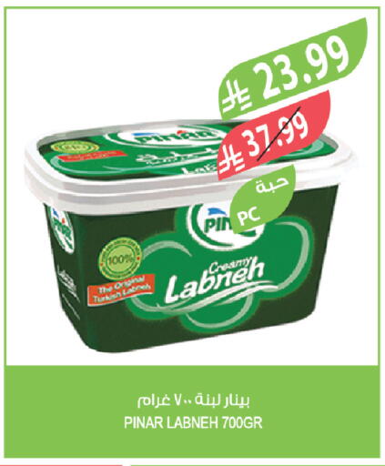 available at المزرعة in مملكة العربية السعودية, السعودية, سعودية - القطيف‎