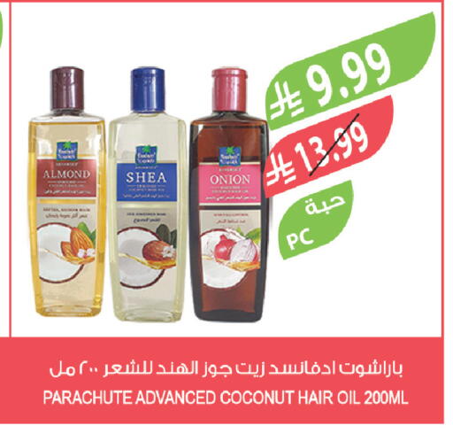 Coconut Onion available at Farm  in KSA, Saudi Arabia, Saudi - Jazan