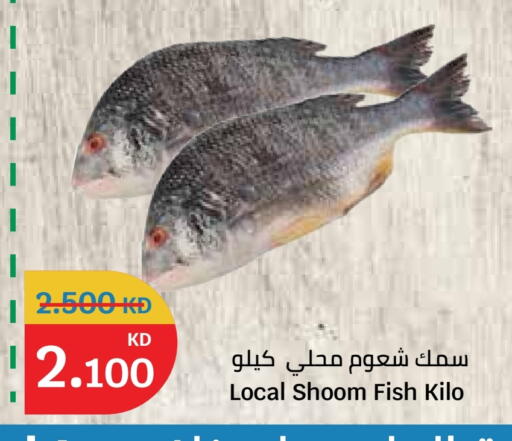 available at City Hypermarket in Kuwait - Jahra Governorate