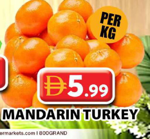 Mandarin from Turkey available at جراند هايبر ماركت in الإمارات العربية المتحدة , الامارات - دبي