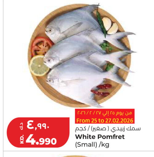 available at Lulu Hypermarket  in Kuwait - Ahmadi Governorate