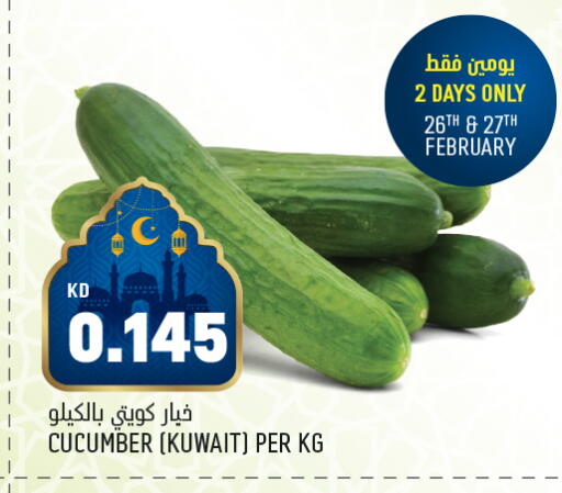 Cucumber from Kuwait available at Oncost in Kuwait - Ahmadi Governorate