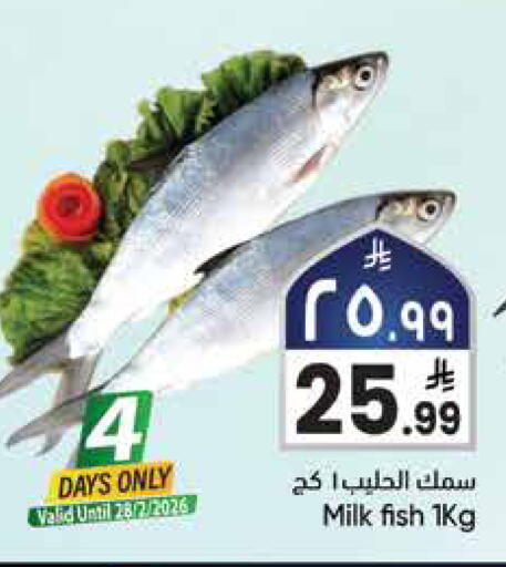available at City Flower in KSA, Saudi Arabia, Saudi - Najran