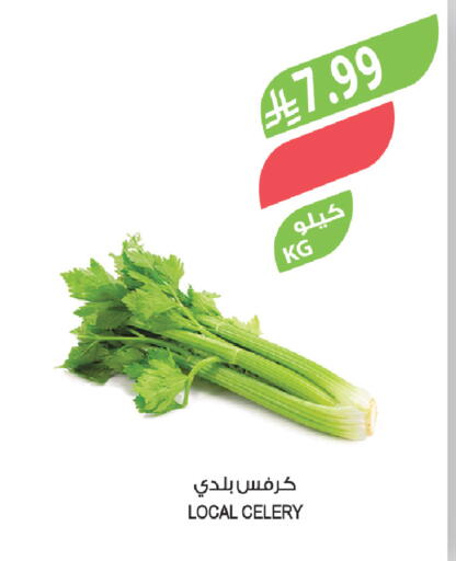 Celery available at المزرعة in مملكة العربية السعودية, السعودية, سعودية - عرعر