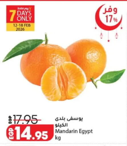 Mandarin from Egypt available at Lulu Hypermarket  in Egypt - Cairo