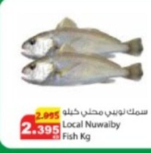 available at Agricultural Food Products Co. in Kuwait - Ahmadi Governorate