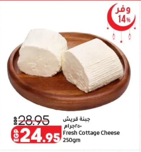 available at لولو هايبرماركت in Egypt - القاهرة