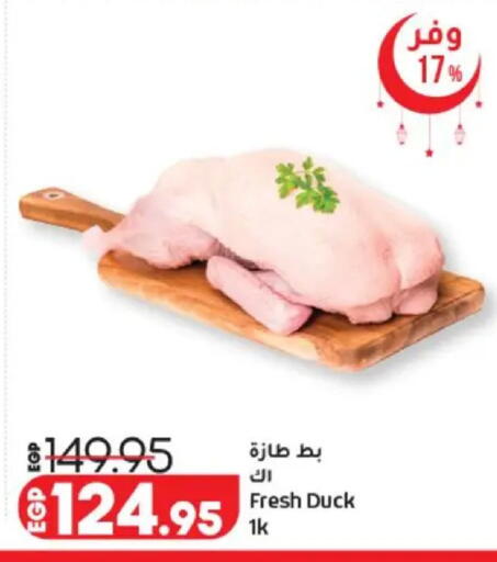 available at لولو هايبرماركت in Egypt - القاهرة