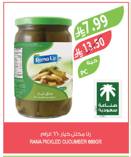 Cucumber available at المزرعة in مملكة العربية السعودية, السعودية, سعودية - الخبر‎