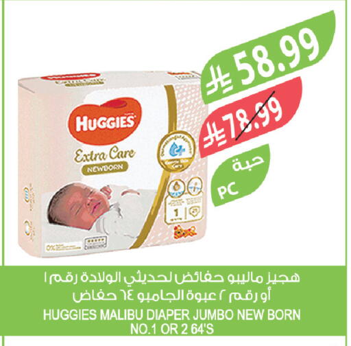 available at Farm  in KSA, Saudi Arabia, Saudi - Khafji