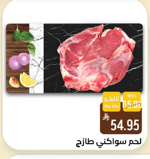 available at شبرا الطائف in مملكة العربية السعودية, السعودية, سعودية - الطائف
