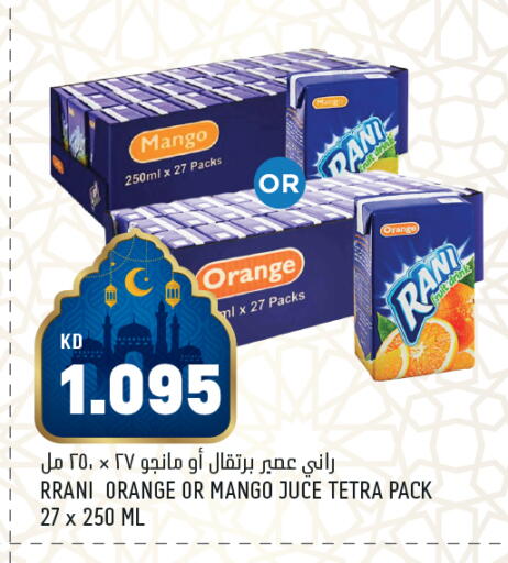 Mango Orange available at Oncost in Kuwait - Kuwait City