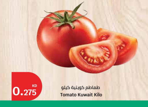 Tomato from Kuwait available at City Hypermarket in Kuwait - Ahmadi Governorate