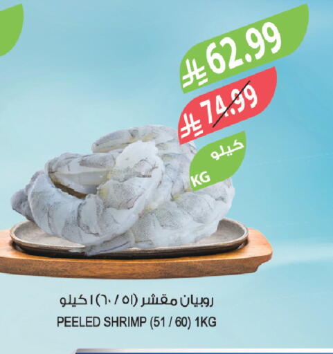 available at المزرعة in مملكة العربية السعودية, السعودية, سعودية - جدة