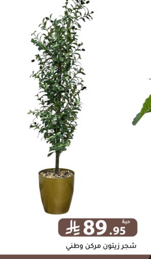 available at تخفيضات العائلة in مملكة العربية السعودية, السعودية, سعودية - الرياض