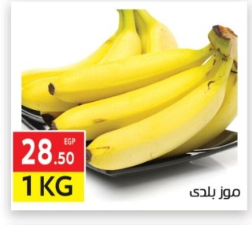 available at المحلاوي ماركت in Egypt - القاهرة