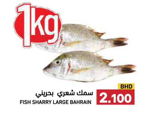 available at رامــز in البحرين