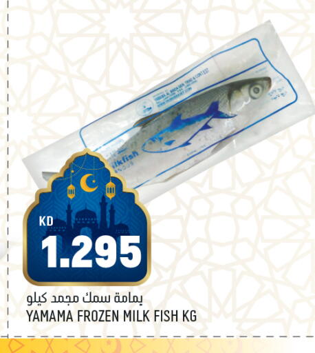 available at أونكوست in الكويت - محافظة الأحمدي