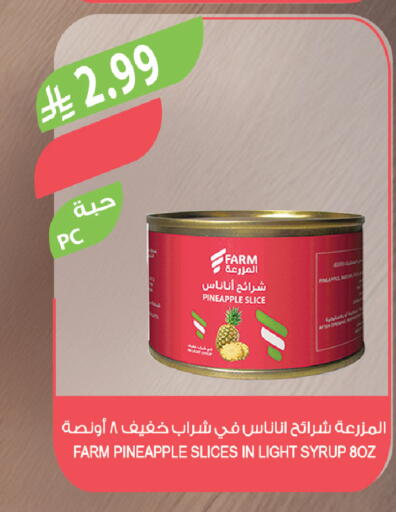 Pineapple available at Farm  in KSA, Saudi Arabia, Saudi - Al Bahah