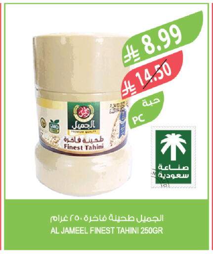 available at المزرعة in مملكة العربية السعودية, السعودية, سعودية - ينبع