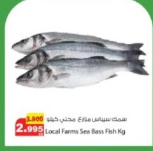 available at Agricultural Food Products Co. in Kuwait - Ahmadi Governorate