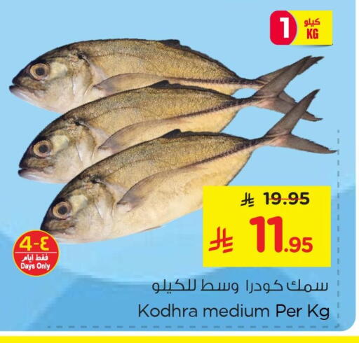 available at نستو in مملكة العربية السعودية, السعودية, سعودية - المنطقة الشرقية