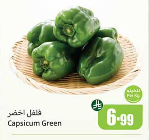Capsicum available at Othaim Markets in KSA, Saudi Arabia, Saudi - Al Duwadimi
