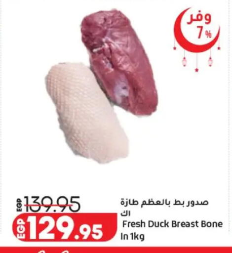 available at لولو هايبرماركت in Egypt - القاهرة
