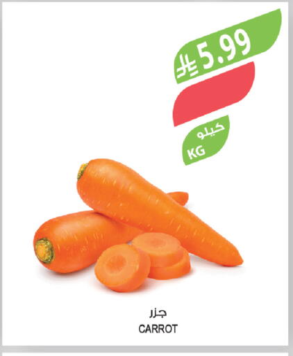 Carrot available at المزرعة in مملكة العربية السعودية, السعودية, سعودية - الخفجي