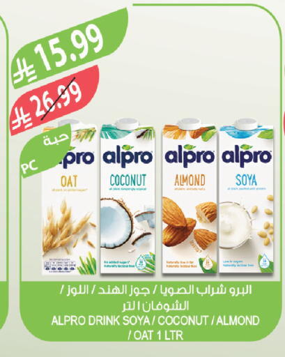 Coconut available at Farm  in KSA, Saudi Arabia, Saudi - Qatif