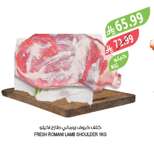 available at Farm  in KSA, Saudi Arabia, Saudi - Khafji