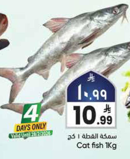 available at City Flower in KSA, Saudi Arabia, Saudi - Najran