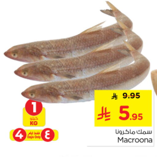 available at Nesto in KSA, Saudi Arabia, Saudi - Riyadh