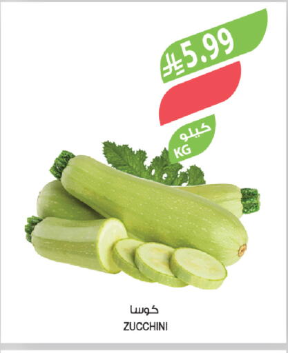 Zucchini available at المزرعة in مملكة العربية السعودية, السعودية, سعودية - عرعر