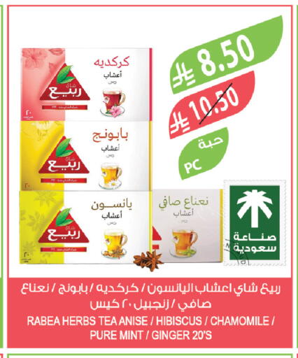 Anise Mint Ginger available at المزرعة in مملكة العربية السعودية, السعودية, سعودية - سكاكا