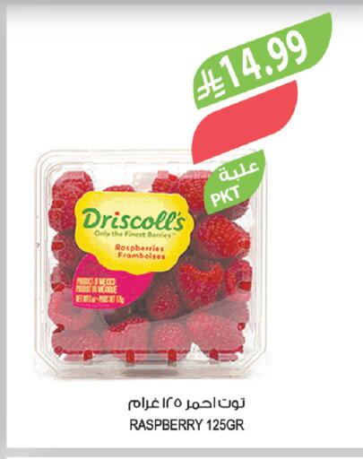 Raspberry available at المزرعة in مملكة العربية السعودية, السعودية, سعودية - ينبع