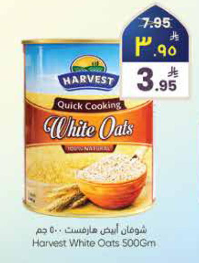 available at City Flower in KSA, Saudi Arabia, Saudi - Najran