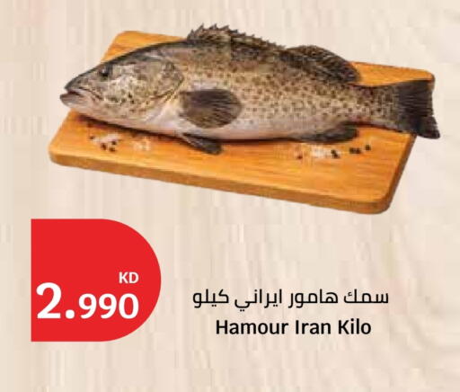available at سيتي هايبرماركت in الكويت - محافظة الأحمدي