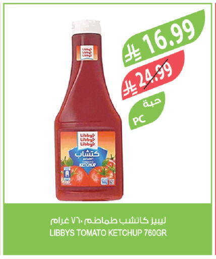 Tomato available at Farm  in KSA, Saudi Arabia, Saudi - Qatif
