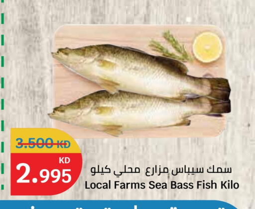 available at City Hypermarket in Kuwait - Jahra Governorate